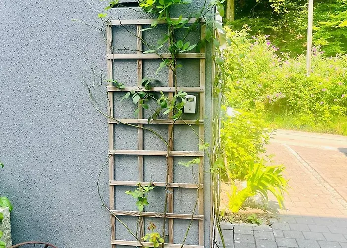Schnucklige Kellerwohnung Daire